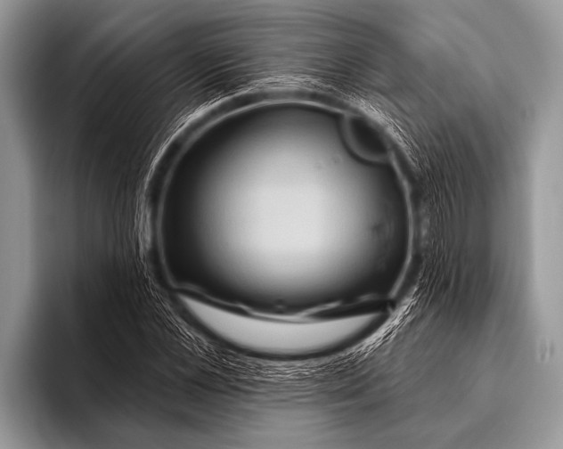 X0000096190973200802081516