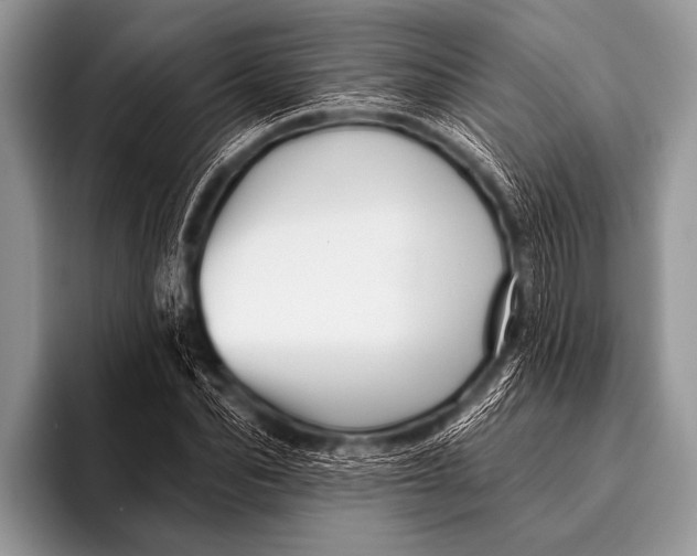 X0000096190974200802081516