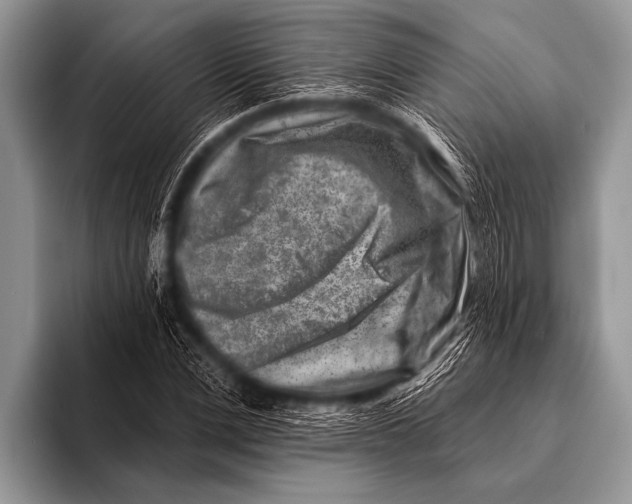 X0000096190975200802081516