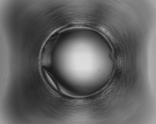 X0000096190976200802081516