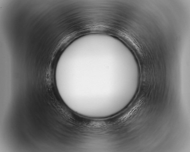 X0000096190978200802081516