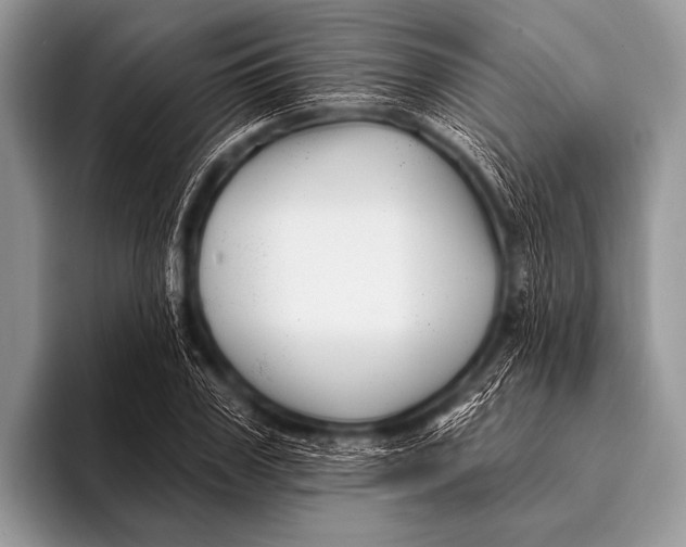 X0000096190979200802081516