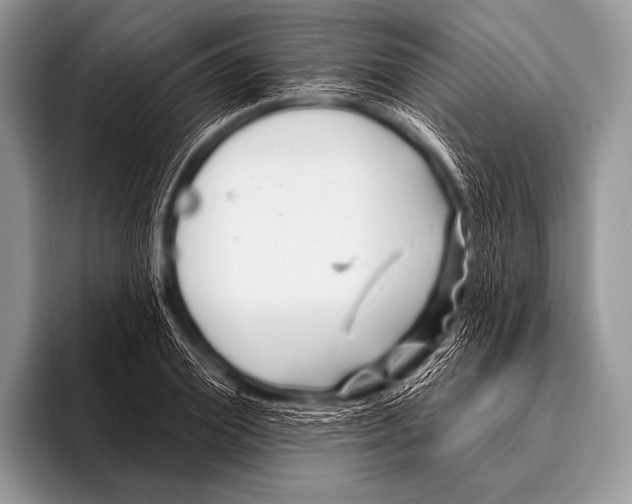 X0000096190980200802081516