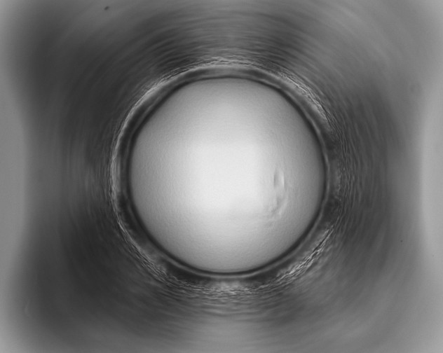 X0000096190982200802081516