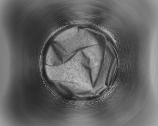 X0000096190983200802081516