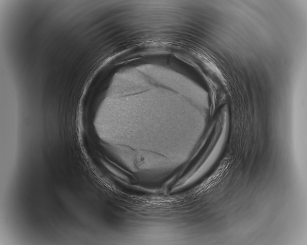 X0000096190984200802081516