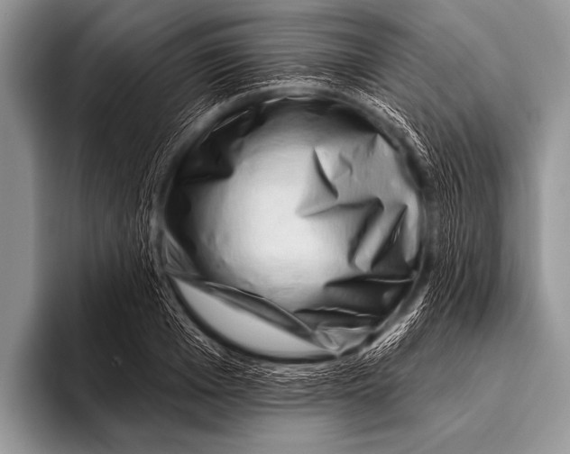 X0000096190985200802081516