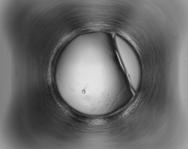 X0000096190986200802081516