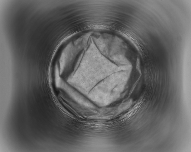 X0000096190987200802081516