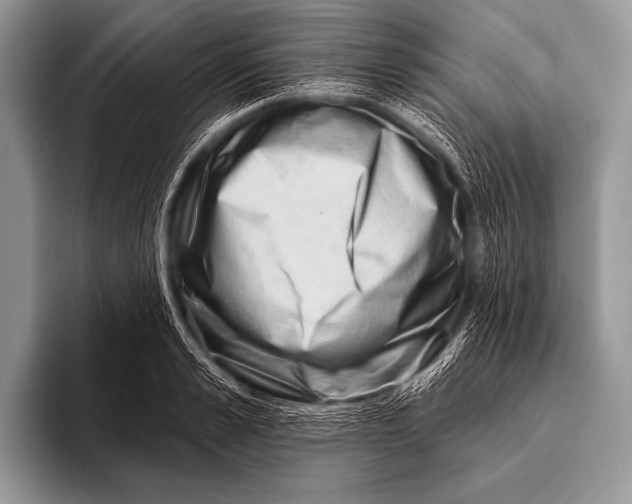 X0000096190989200802081516