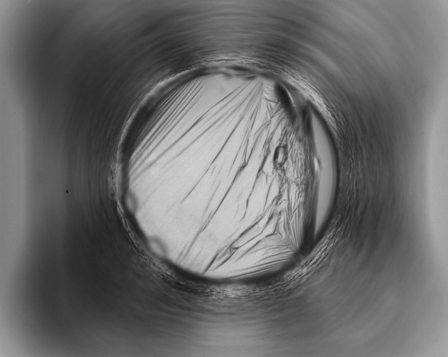 X0000096190992200802081516