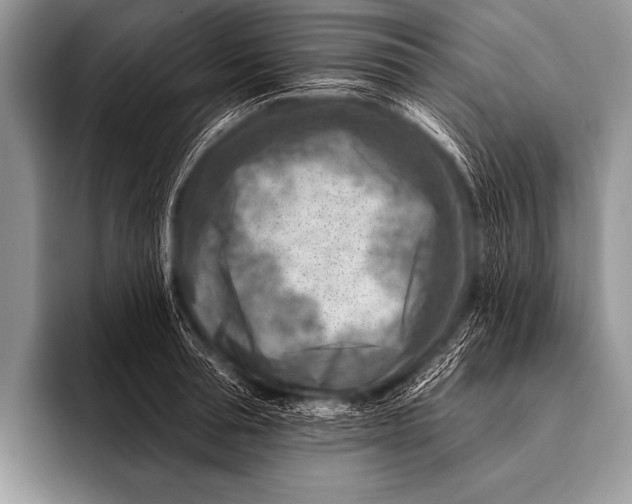 X0000096190994200802081516