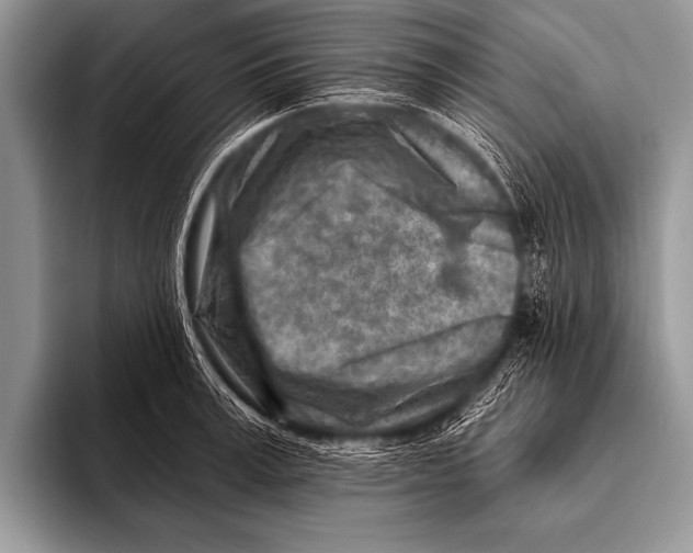 X0000096190995200802081516