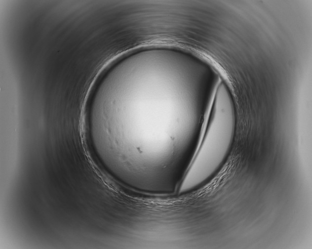 X0000096190996200802081516