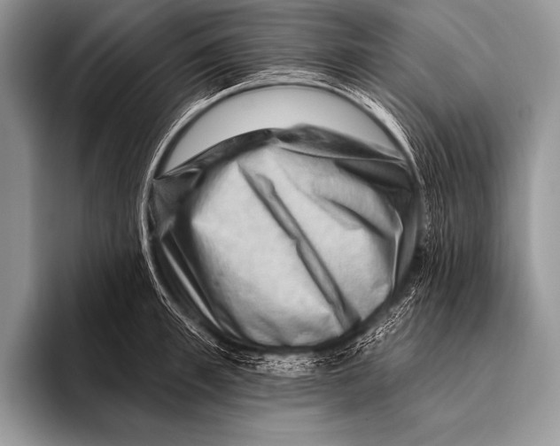 X0000096190997200802081516