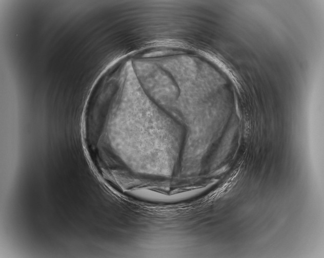 X0000096190999200802081516