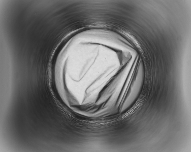 X0000096191000200802081516