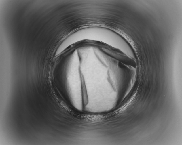 X0000096191001200802081516