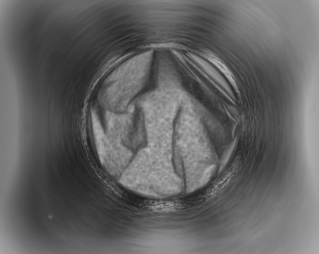 X0000096191002200802081516