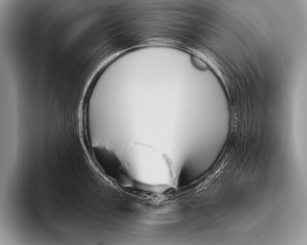 X0000096191003200802081516