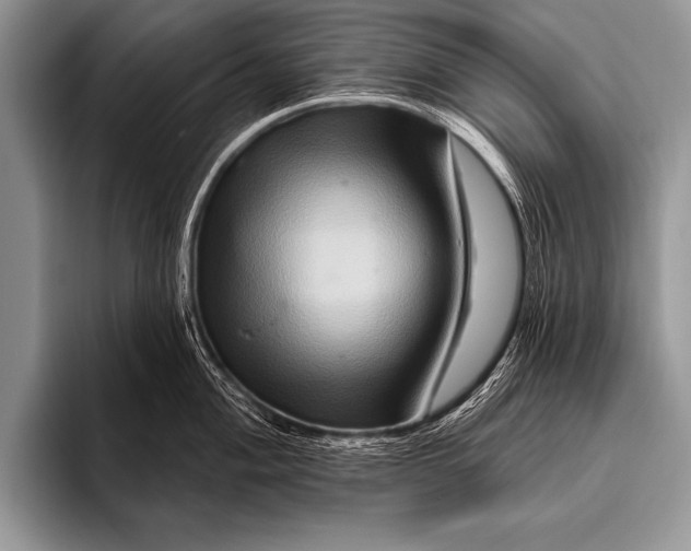 X0000096191004200802081516