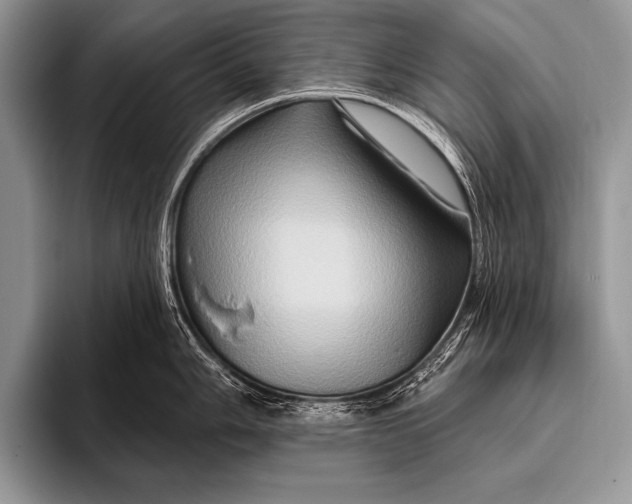 X0000096191006200802081516