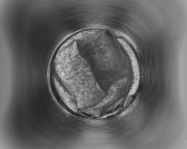 X0000096191007200802081516