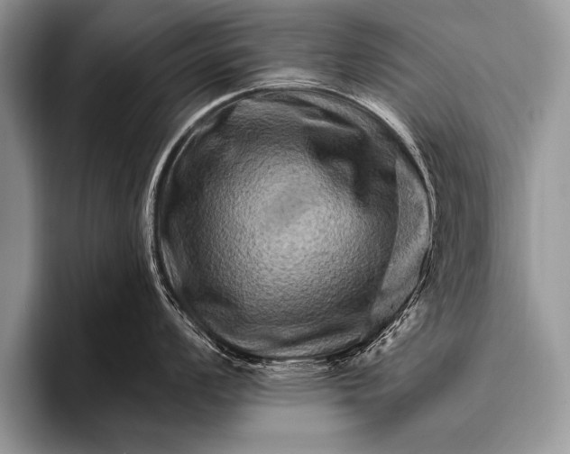 X0000096191008200802081516