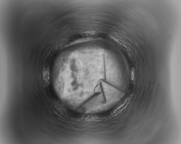 X0000096191011200802081515