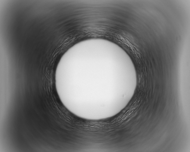 X0000096191012200802081515