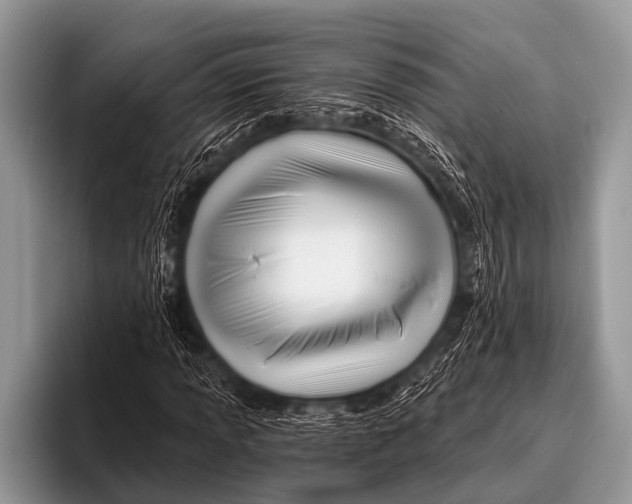 X0000096191013200802081515