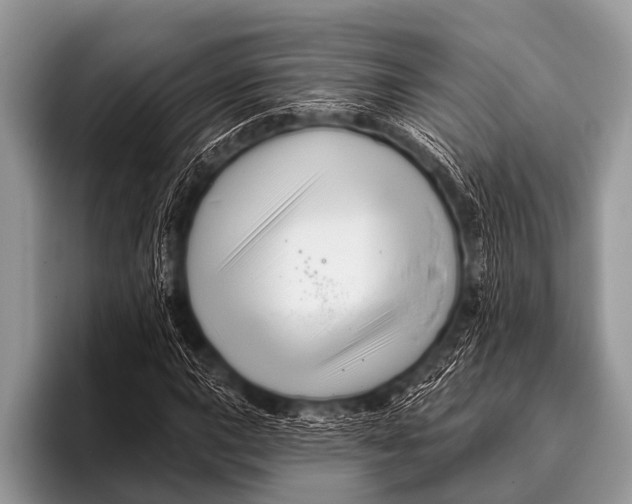 X0000096191015200802081515