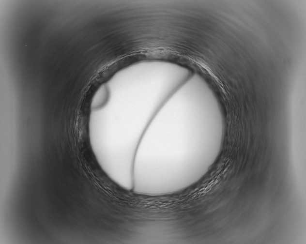 X0000096191016200802081515