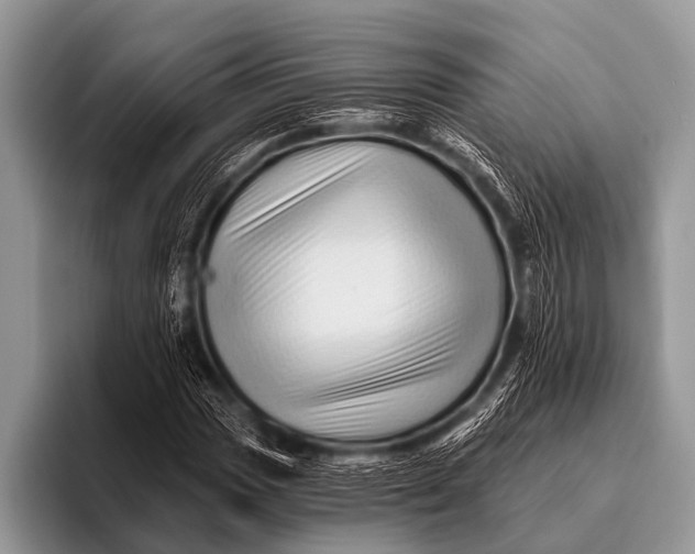 X0000096191017200802081515