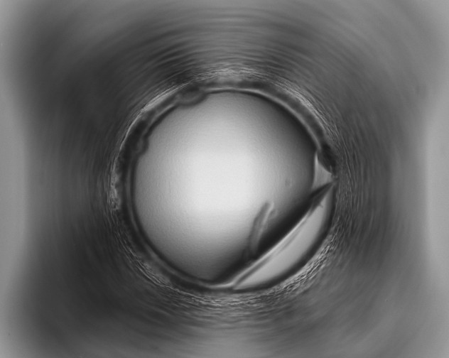 X0000096191018200802081515