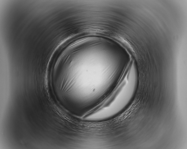 X0000096191020200802081515