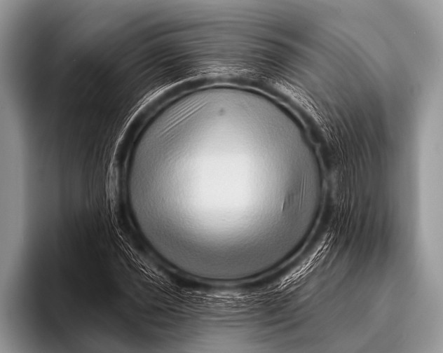 X0000096191021200802081515