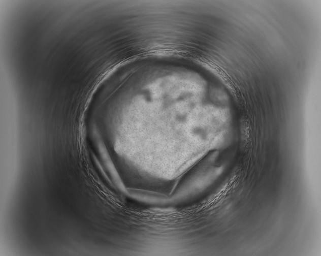 X0000096191023200802081515