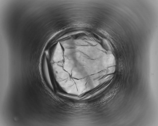 X0000096191024200802081515