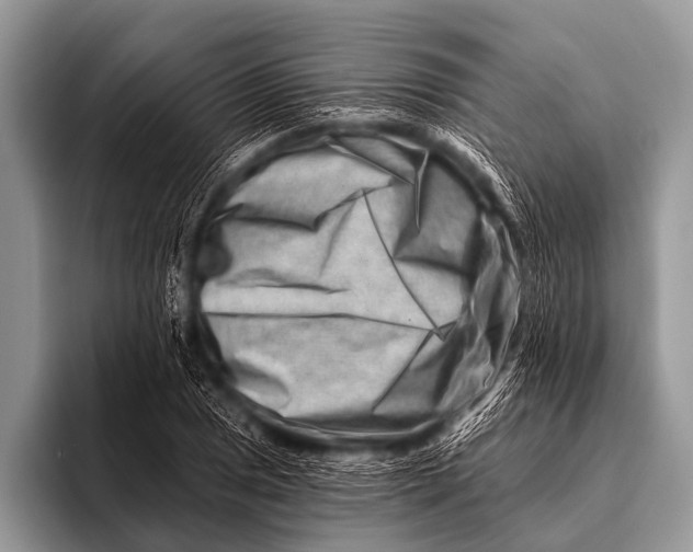 X0000096191025200802081515