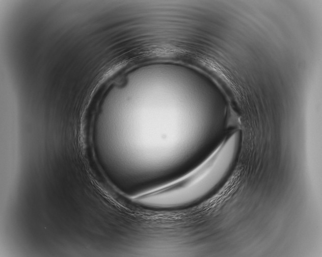 X0000096191026200802081515