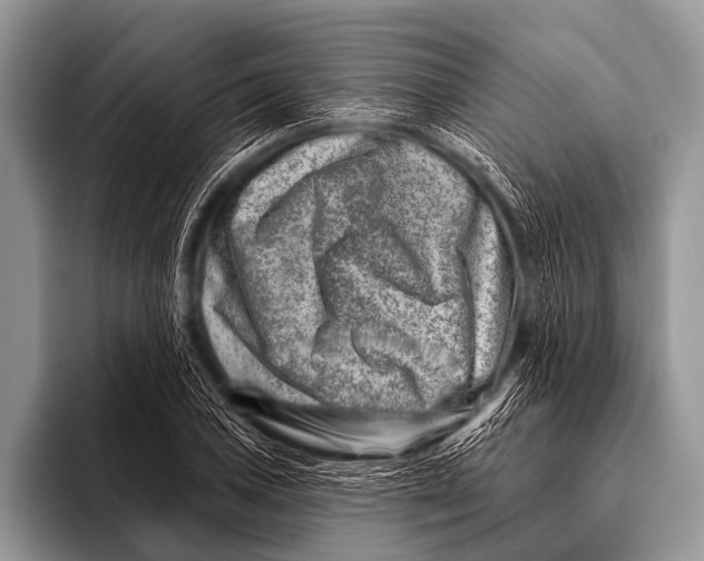 X0000096191027200802081515