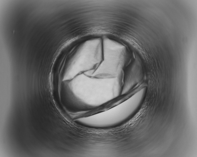 X0000096191030200802081515