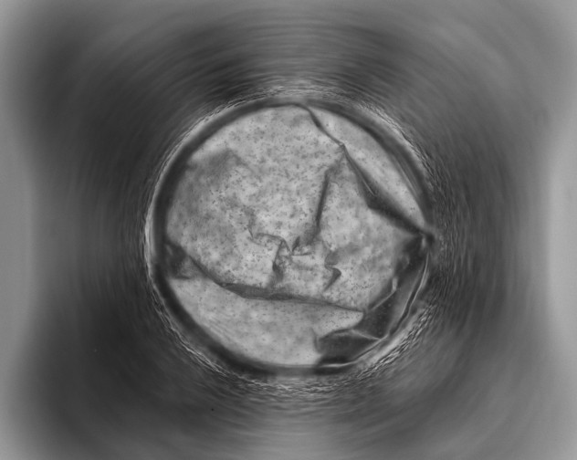 X0000096191032200802081516