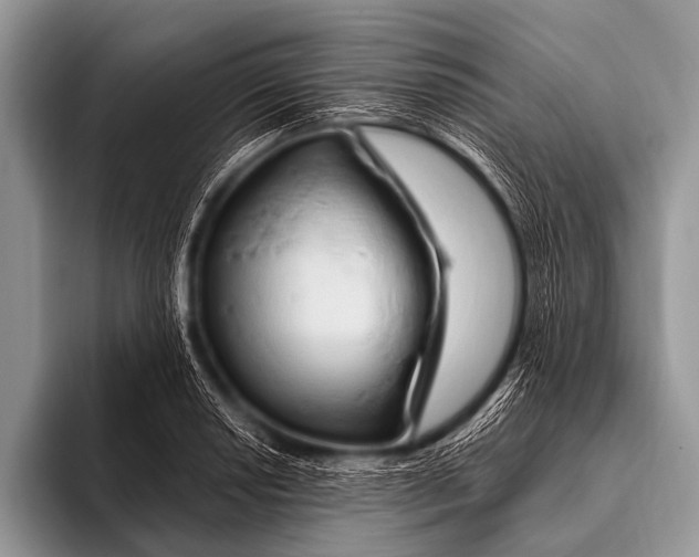 X0000096191034200802081516