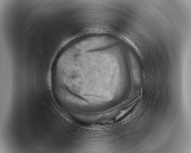 X0000096191035200802081516