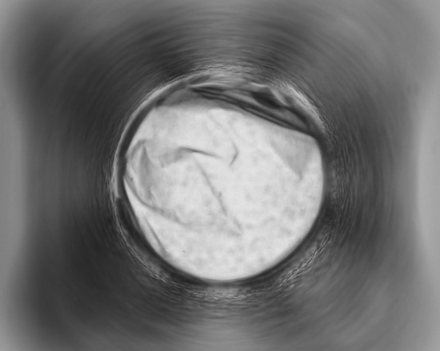 X0000096191036200802081516