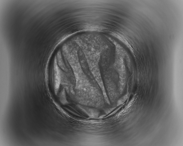 X0000096191037200802081516