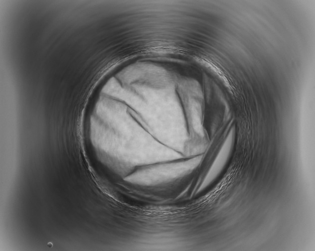 X0000096191039200802081516