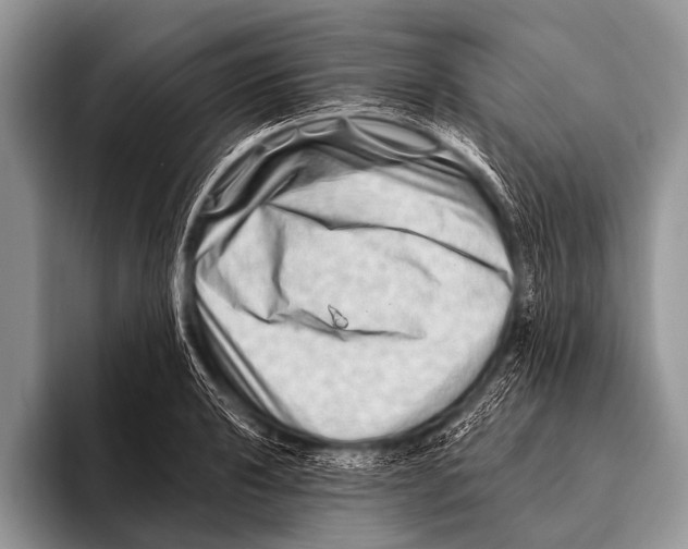 X0000096191040200802081516